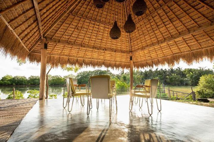 General 31 of 50