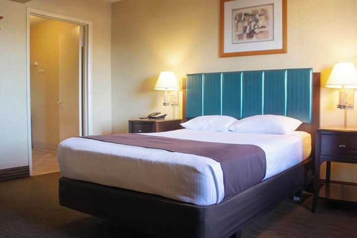 Suite Deluxe King Bed (4 of 11)