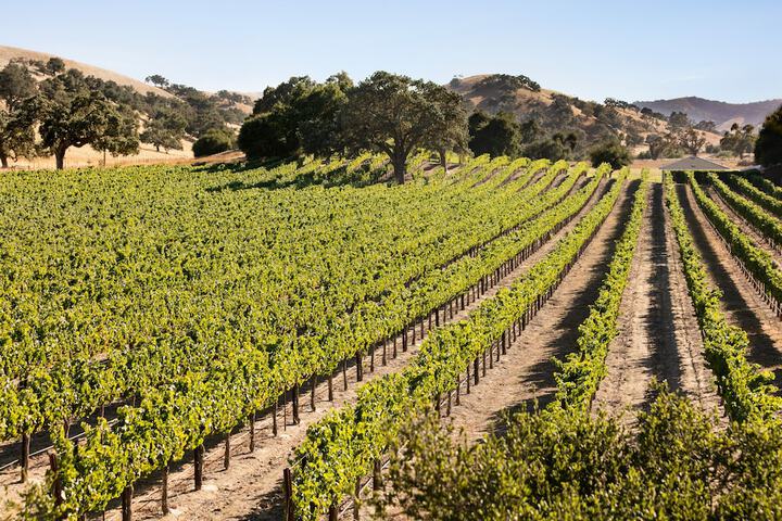 Winery