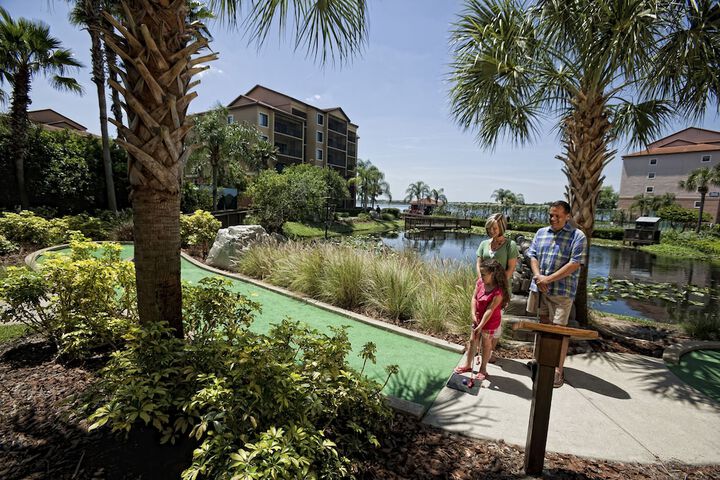 Mini-golf