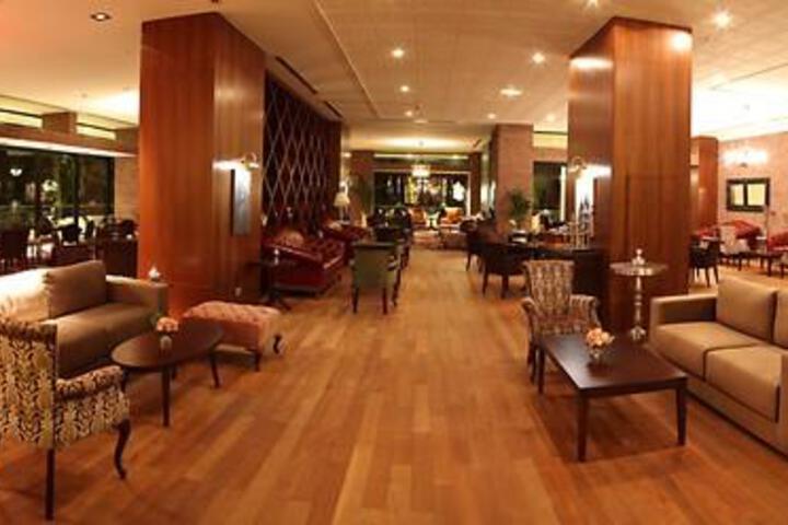 Lounge 46 of 68