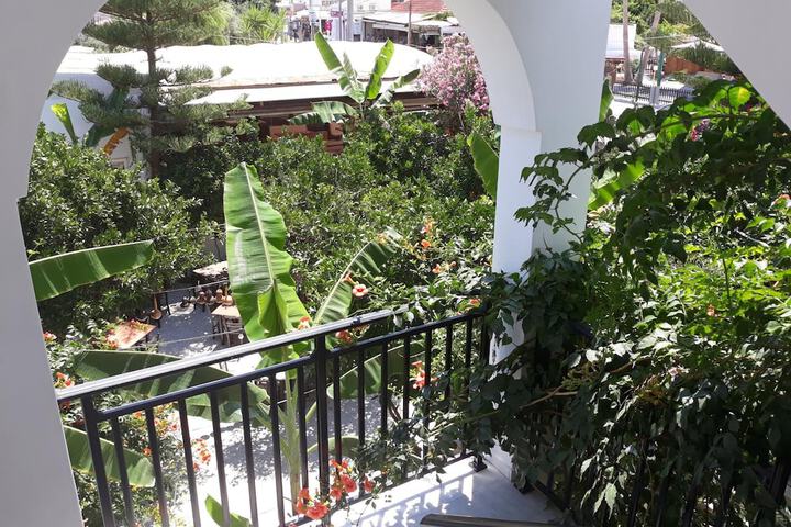 Terrace/Patio 13 of 32