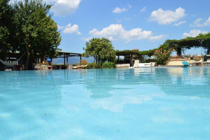 Hotel Pool
