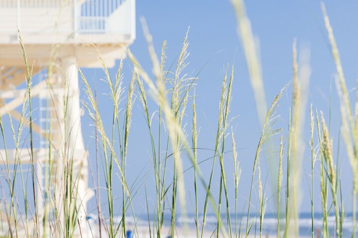 Outdoor Activities 17 of 34