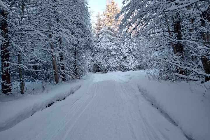 Skiing