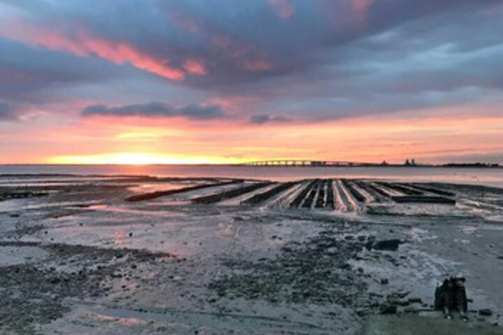 Beach 11 of 33