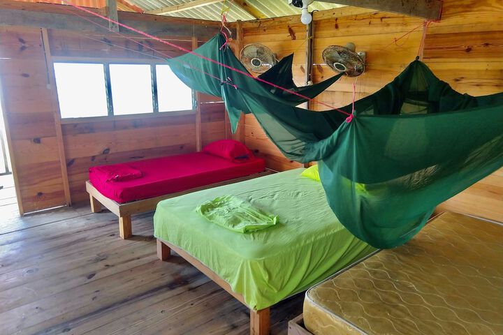 Room 5 of 20