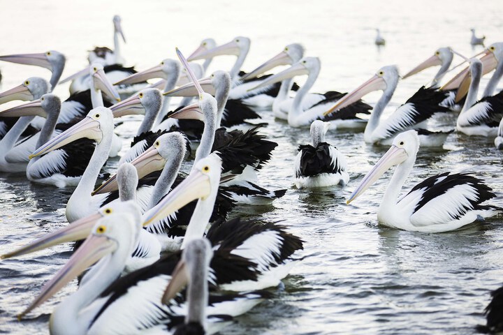 Hotel Interior 40 of 76