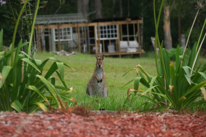 Property Grounds 17 of 21