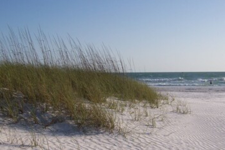 Beach 6 of 47