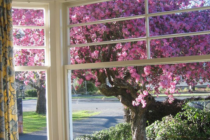 View from room