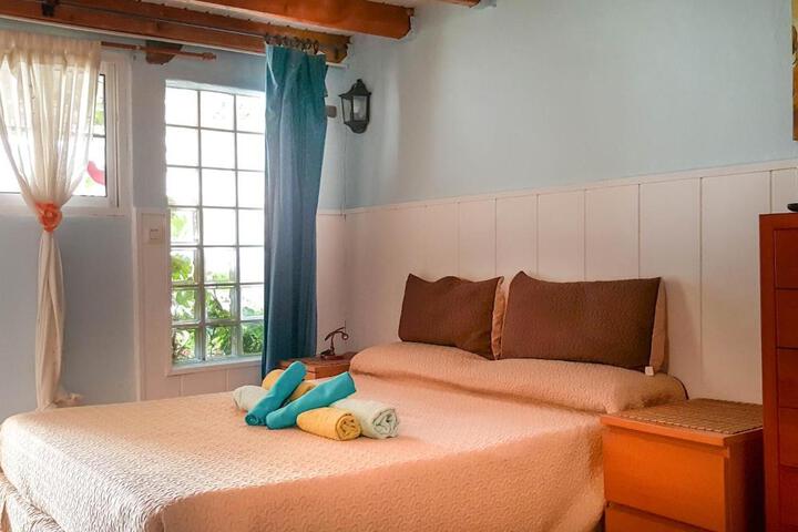Image of Petunia 75
