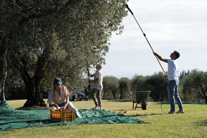 Locanda Poggioleone in Castiglione del Lago
