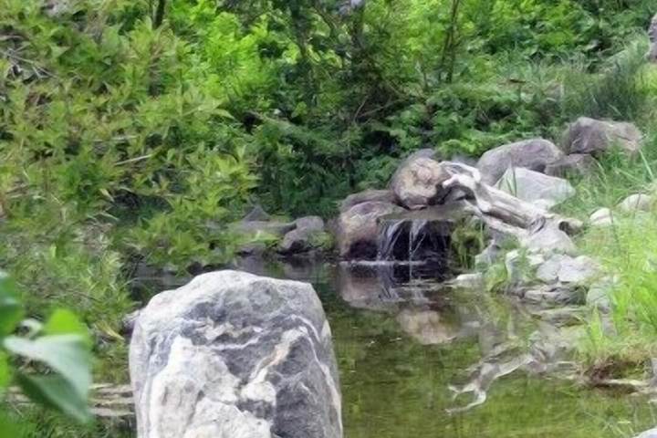 Property Grounds 42 of 84