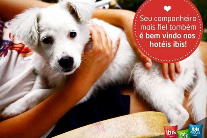 Pet-friendly
