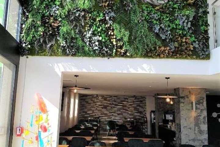 Restaurants