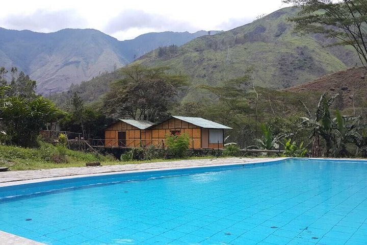 Pool 12 of 31