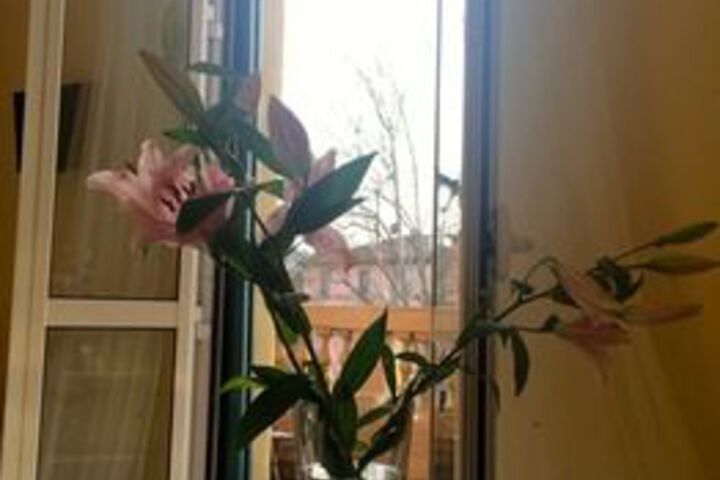 Room 35 of 52