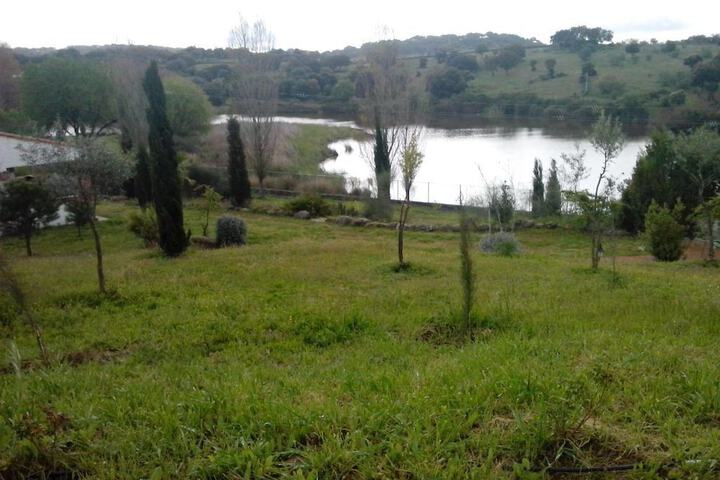Property Grounds 10 of 13