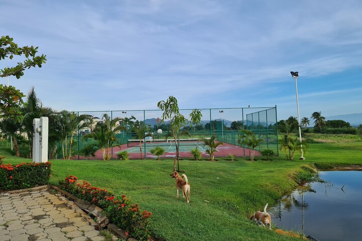 Tennis and Basketball Courts 20 of 29