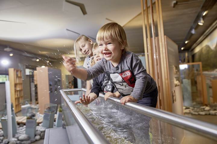 Childrens Activities 47 of 80