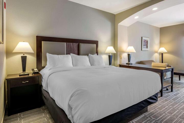 1 King Bed (12 of 22)