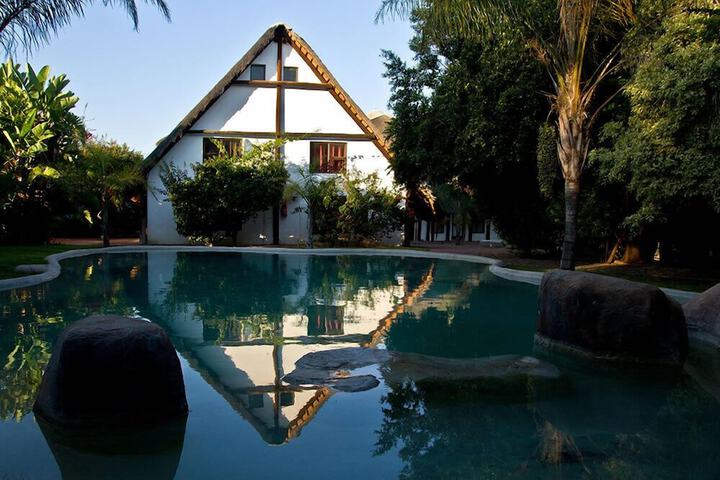 Hotel Pool