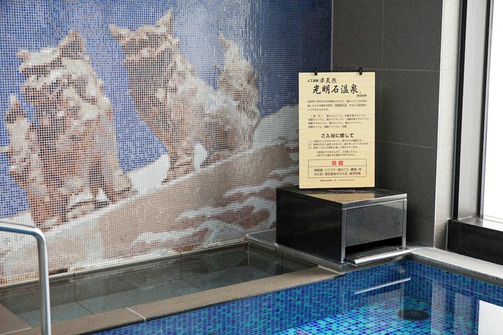 Public bath