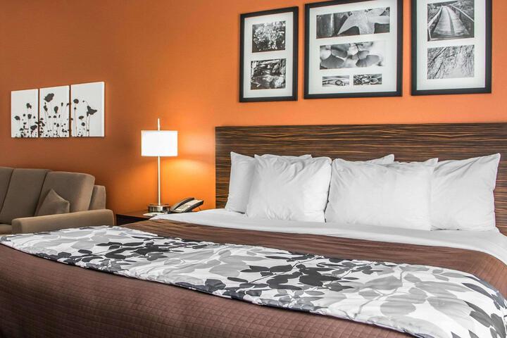 1 King Bed (7 of 21)