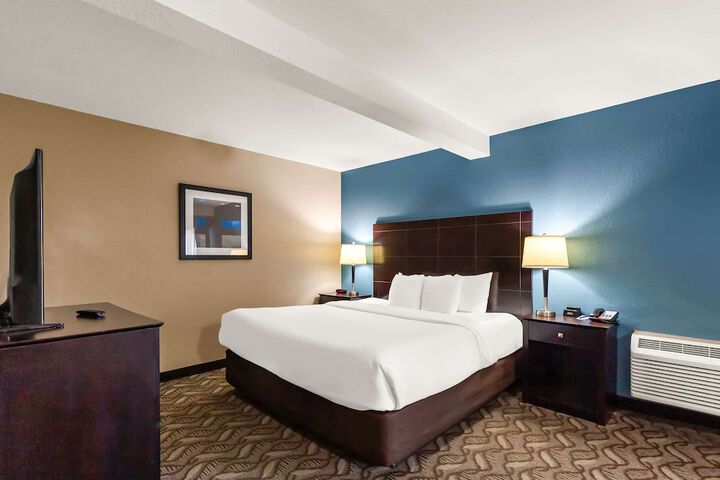 Standard King Bed Accessible (3 of 18)