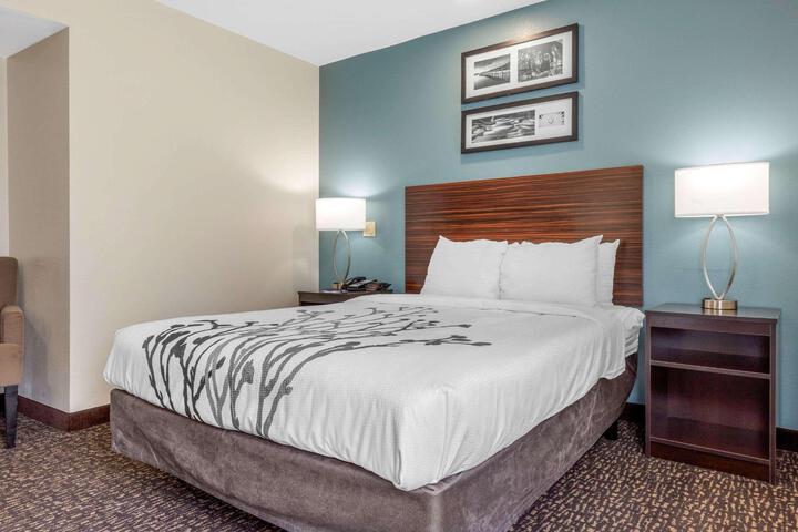 Queen Bed Accessible (3 of 8)