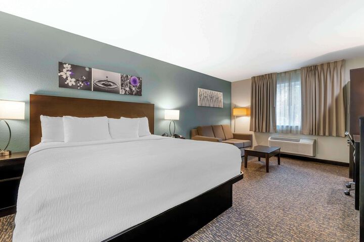 1 King Bed Suite (5 of 10)