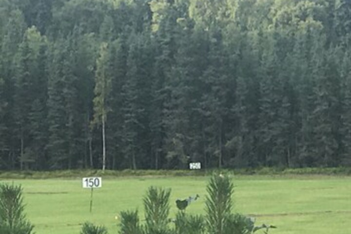 Golf 19 of 68