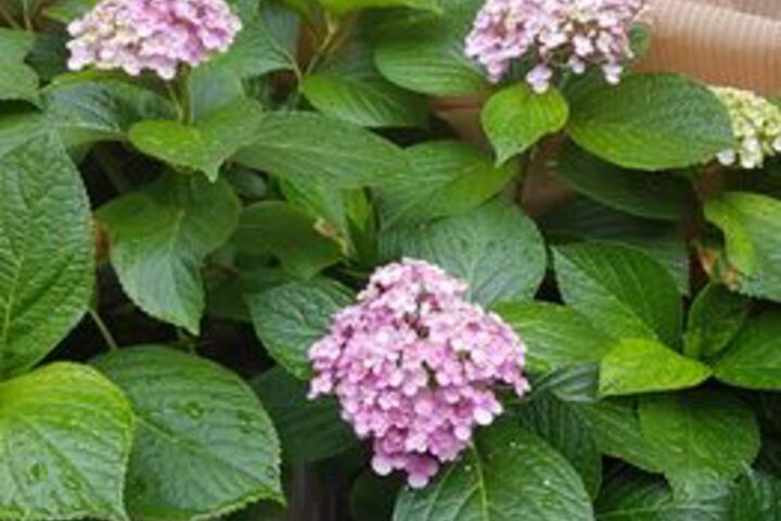 Hotel Exterior 4 of 13