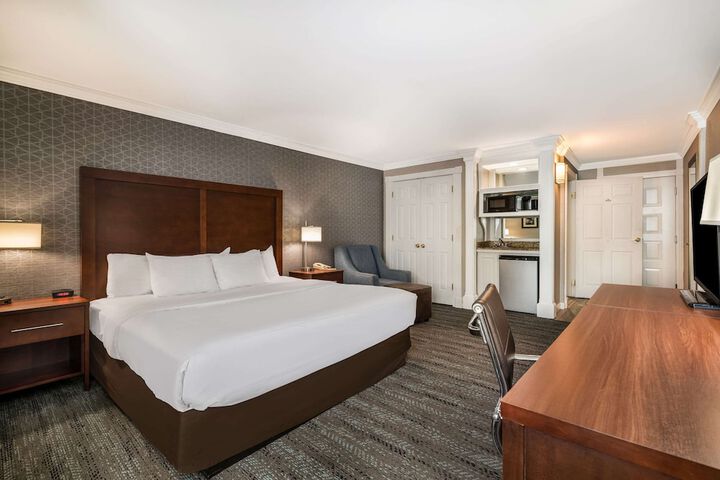 Standard King Bed Accessible (5 of 14)