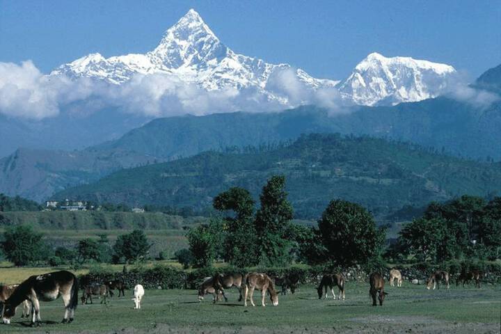 Pari Homestay in Kathmandu