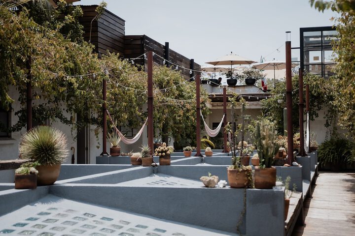 Terrace/Patio 38 of 41
