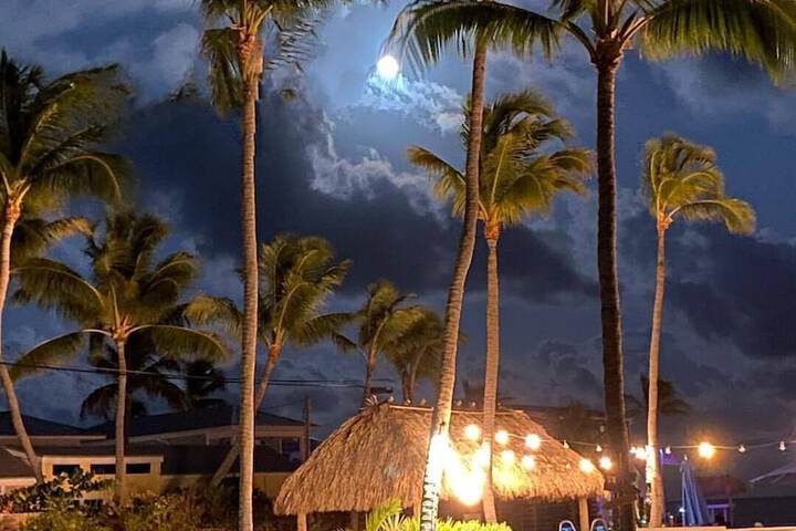 Beach/ocean view