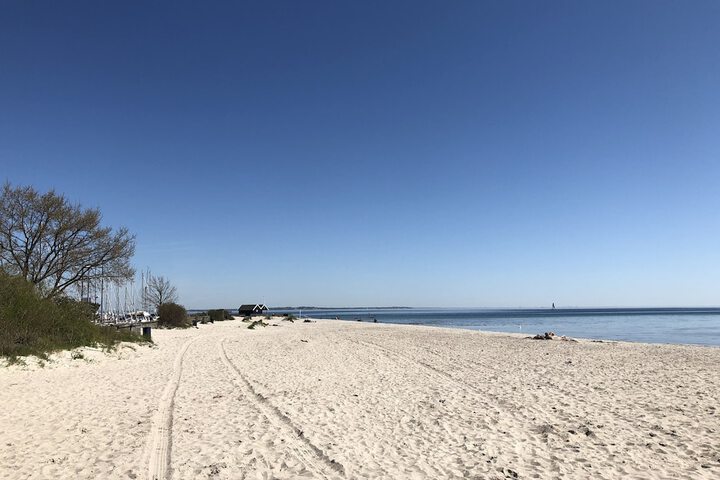 Beach 64 of 84