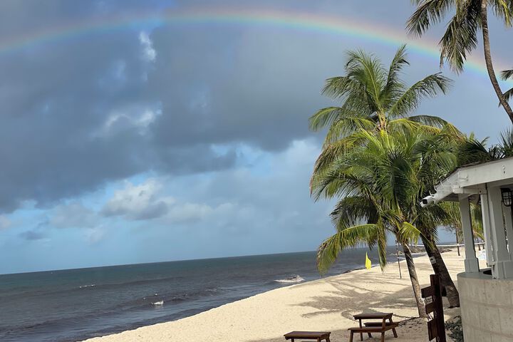 Beach 175 of 204