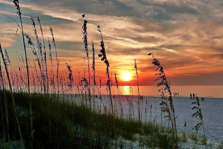 Beach 66 of 85