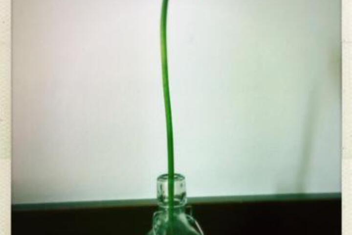 General 9 of 10