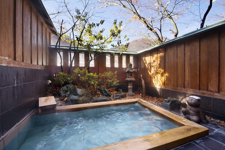 Wellness Treatments