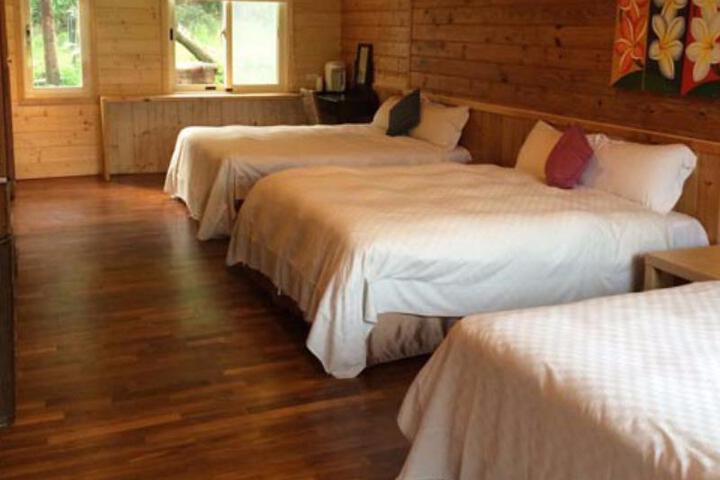 Room 3 of 6