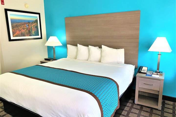 1 King Bed (1 of 13)
