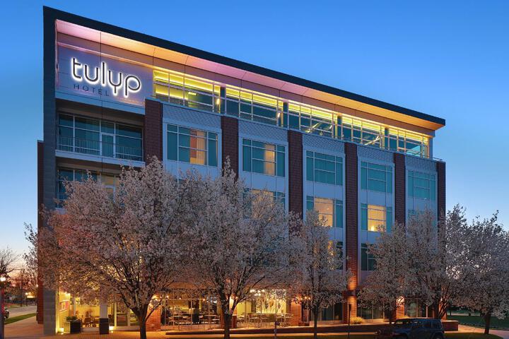 Photo of Tulyp