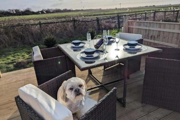 Dining 16 of 18