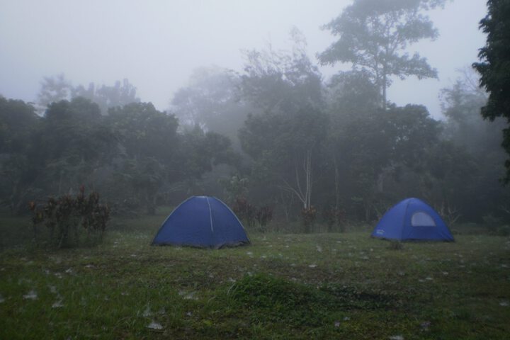 Property Grounds 14 of 54