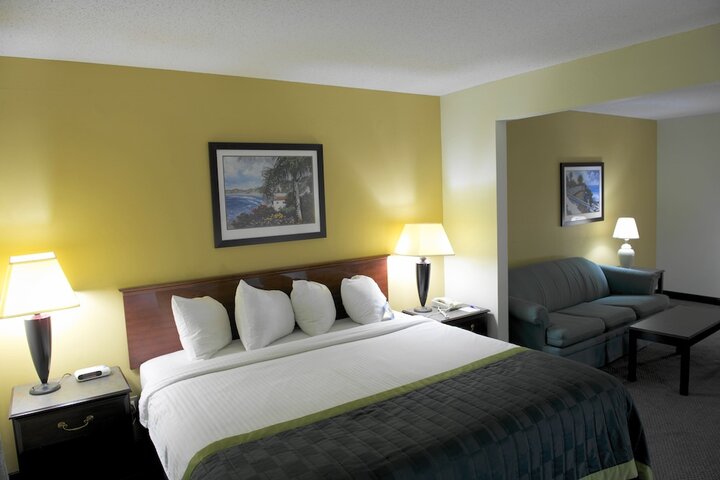 1 King Bed (5 of 19)