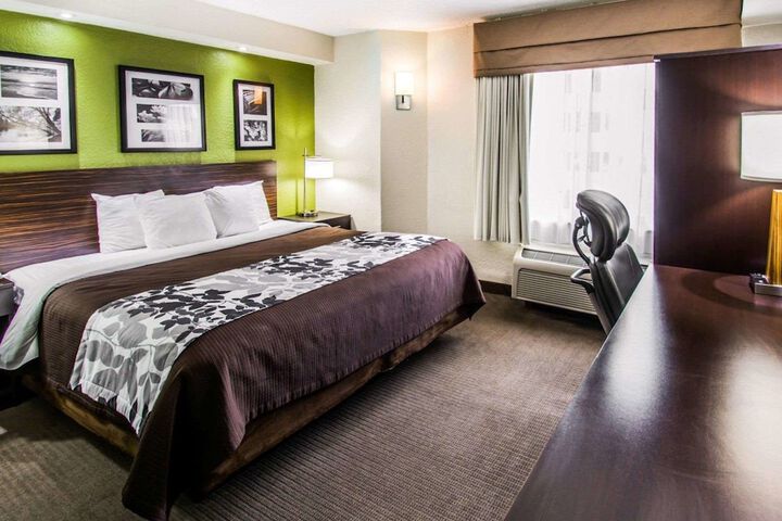 1 King Bed (12 of 15)
